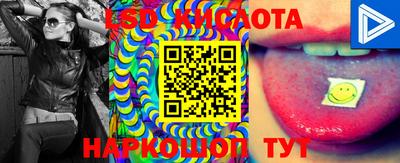 тгк Кохма