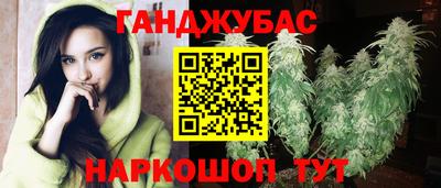 крисы Котовск